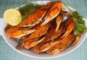 The Marylander's Care Package