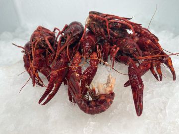Pre-Cooked Crawfish