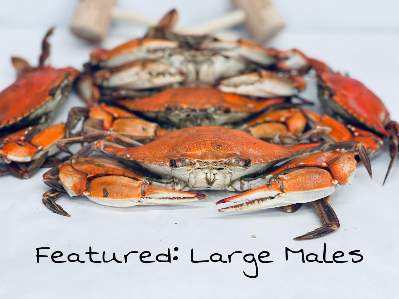 Big Sale this week! Use promo code freedom10 and get 10% off all steamed crabs!!