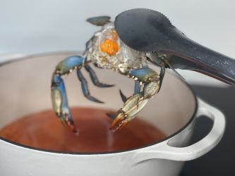 Maryland Soup Crabs