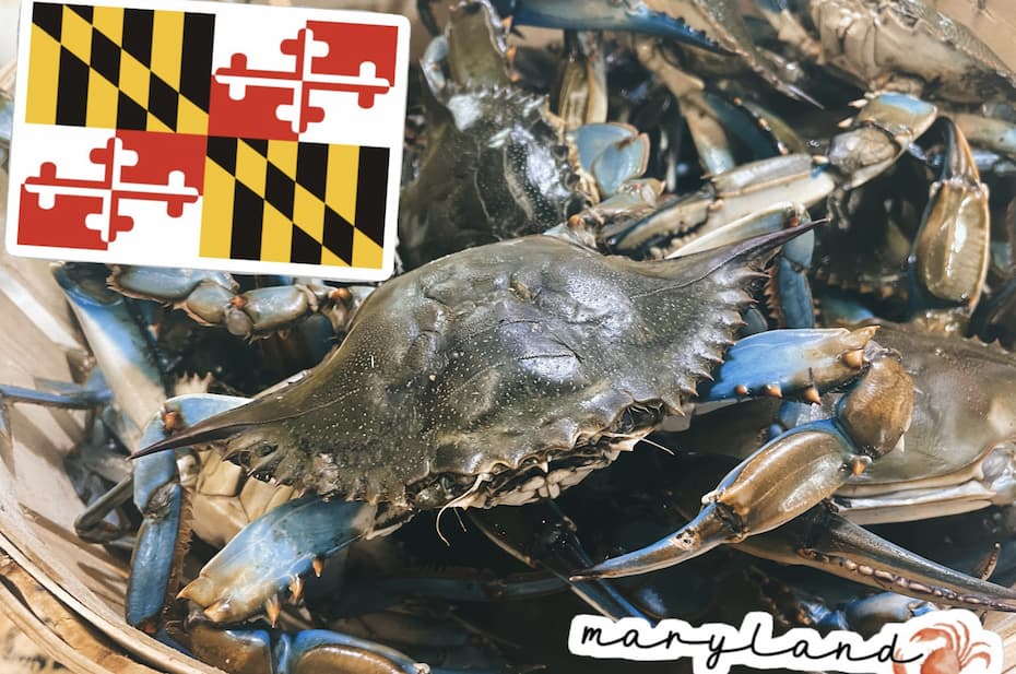 The Best Ways To Eat Maryland Crabs This Crab Season