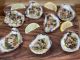Fresh Oysters in the Shell - 100ct