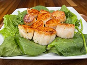 Scallops