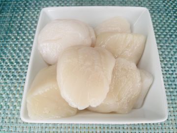 Giant Sea Scallops