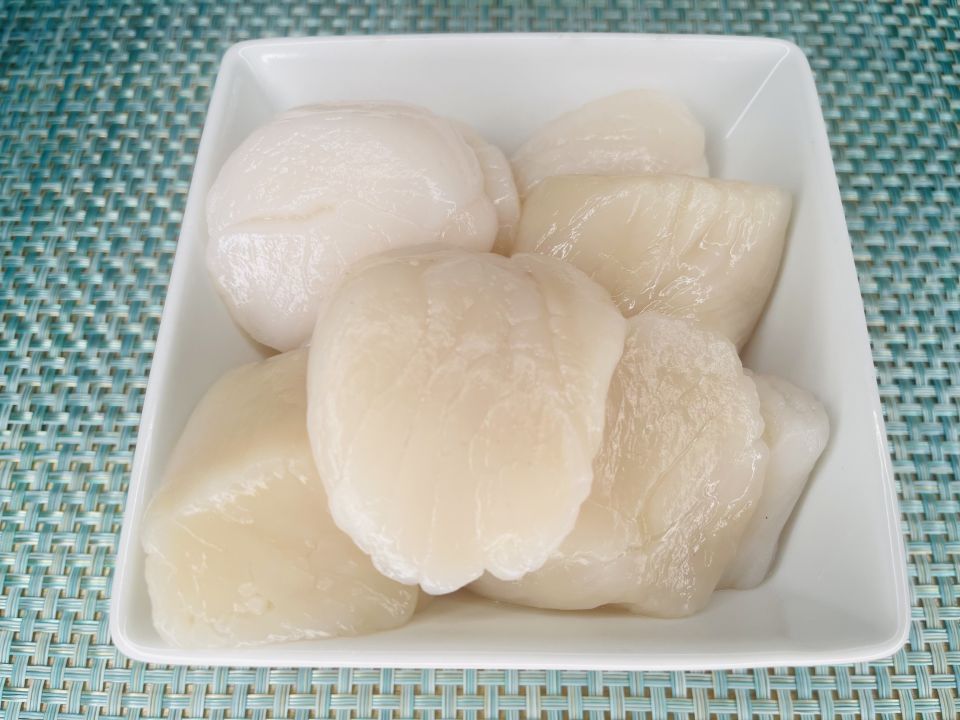 Giant scallop 2025