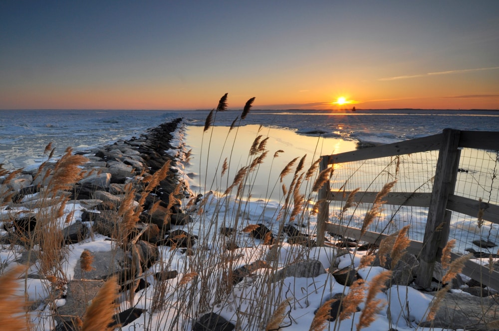 The Winter Challenge: Why Blue Crabs Are Hard to Find in the Colder Months