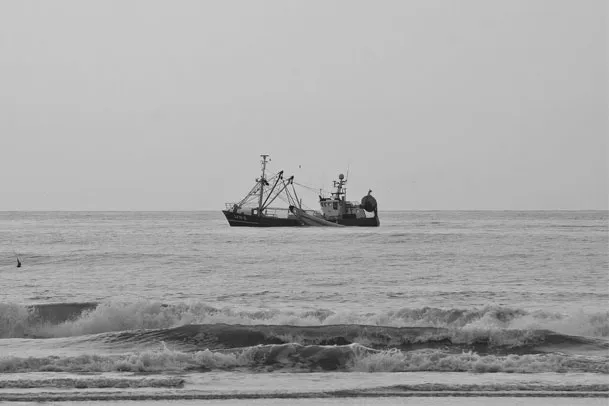 Fishing Boat