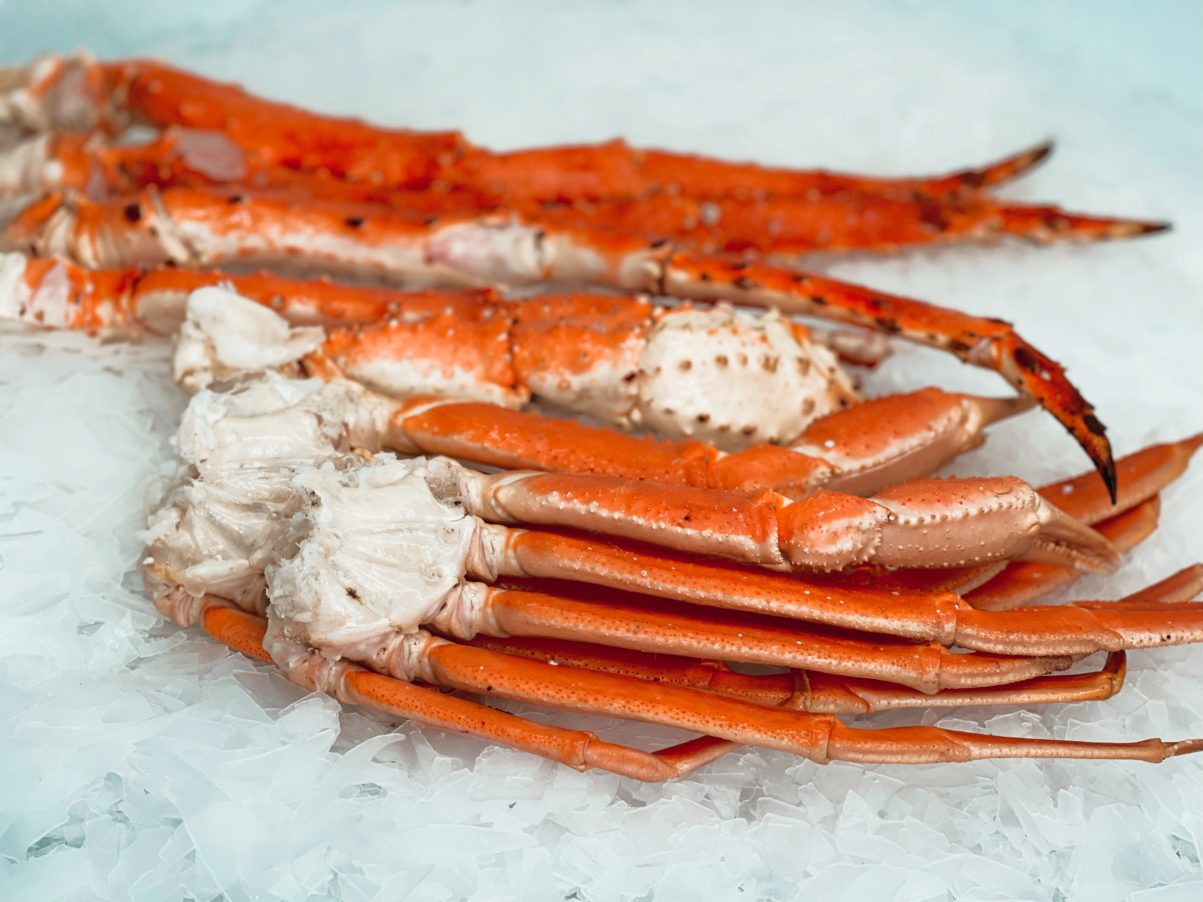 Stock the Cooler!  Save 10% on Snow Crab, Shrimp and Lobster Tails with promo code STOCK10