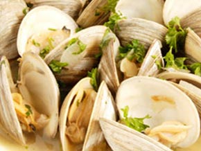 Chesapeake Clams